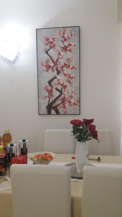 Appartamento Casa Ilaria Arzachena Kültér fotó